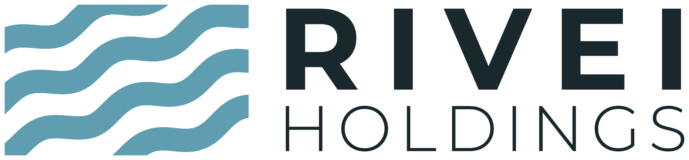 Rivei Holdings